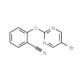 2-(5-Bromo-pyrimidin-2-yloxy)-benzonitrile (CAS 1017789-04-6) - chemical structure image