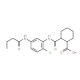2-{[5-(Butyrylamino)-2-chloroanilino]-carbonyl}cyclohexanecarboxylic acid - chemical structure image