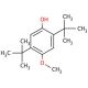 2,5-Di-tert-butyl-4-hydroxyanisole (CAS 1991-52-2) - chemical structure image