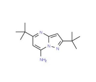 2,5-Di-tert-butyl-pyrazolo[1,5-a]pyrimidin-7-ylamine - chemical structure image