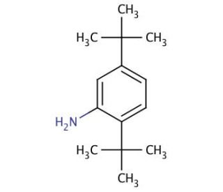 2,5-Di-tert-butylaniline (CAS 21860-03-7) - chemical structure image