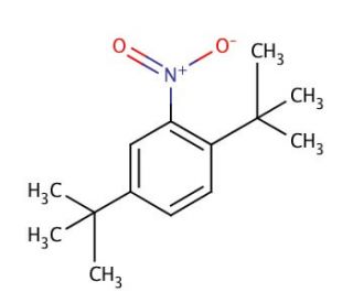 2,5-Di-tert-butylnitrobenzene (CAS 3463-35-2) - chemical structure image