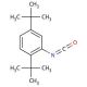 2,5-Di-tert-butylphenyl isocyanate (CAS 480438-99-1) - chemical structure image