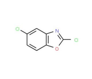 2,5-Dichloro-1,3-benzoxazole (CAS 3621-81-6) - chemical structure image