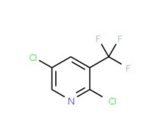 2,5-Dichloro-3-(trifluoromethyl)pyridine (CAS 70158-59-7) - chemical structure image