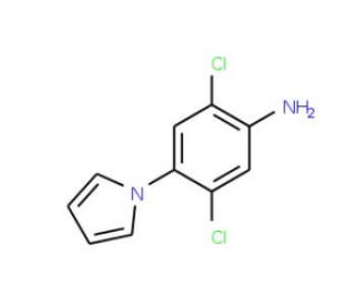 2,5-Dichloro-4-(1H-pyrrol-1-yl)aniline (CAS 175135-55-4) - chemical structure image