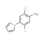 2,5-Dichloro-4-(1H-pyrrol-1-yl)aniline (CAS 175135-55-4) - chemical structure image