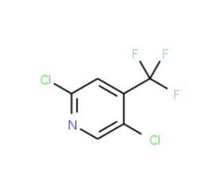 2,5-Dichloro-4-(trifluoromethyl)pyridine (CAS 89719-92-6) - chemical structure image
