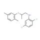 2,5-Dichloro-N-[2-(2,5-dimethylphenoxy)-propyl]aniline - chemical structure image