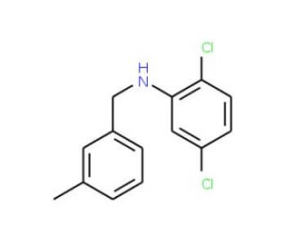 2,5-Dichloro-N-(3-methylbenzyl)aniline - chemical structure image