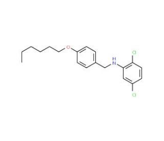 2,5-Dichloro-N-[4-(hexyloxy)benzyl]aniline - chemical structure image