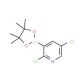 2,5-Dichloropyridine-3-boronic acid pinacol ester (CAS 1073371-98-8) - chemical structure image