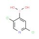 2,5-Dichloropyridine-4-boronic acid (CAS 847664-64-6) - chemical structure image