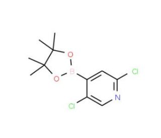 2,5-Dichloropyridine-4-boronic acid pinacol ester (CAS 1073353-98-6) - chemical structure image