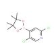 2,5-Dichloropyridine-4-boronic acid pinacol ester (CAS 1073353-98-6) - chemical structure image