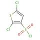 2,5-Dichlorothiophene-3-sulfonyl chloride (CAS 56946-83-9) - chemical structure image