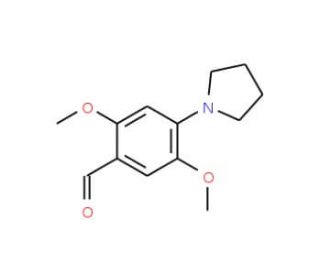 2,5-Dimethoxy-4-pyrrolidin-1-yl-benzaldehyde (CAS 692775-87-4) - chemical structure image