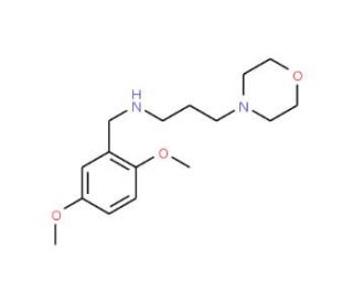 (2,5-Dimethoxy-benzyl)-(3-morpholin-4-yl-propyl)-amine - chemical structure image