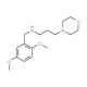 (2,5-Dimethoxy-benzyl)-(3-morpholin-4-yl-propyl)-amine - chemical structure image
