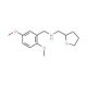 (2,5-Dimethoxy-benzyl)-(tetrahydro-furan-2-yl-methyl)-amine - chemical structure image