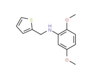 2,5-Dimethoxy-N-(2-thienylmethyl)aniline - chemical structure image