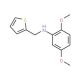 2,5-Dimethoxy-N-(2-thienylmethyl)aniline - chemical structure image