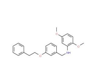 2,5-Dimethoxy-N-[3-(phenethyloxy)benzyl]aniline - chemical structure image