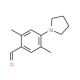 2,5-Dimethyl-4-pyrrolidin-1-yl-benzaldehyde - chemical structure image