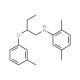 2,5-Dimethyl-N-[2-(3-methylphenoxy)butyl]aniline - chemical structure image