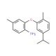2-(5-Isopropyl-2-methylphenoxy)-4-methylaniline - chemical structure image