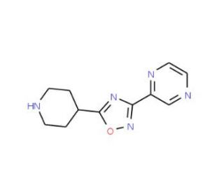 2-(5-Piperidin-4-yl-1,2,4-oxadiazol-3-yl)pyrazine (CAS 93072-94-7) - chemical structure image