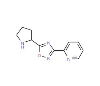 2-(5-Pyrrolidin-2-yl-[1,2,4]oxadiazol-3-yl)pyridine (CAS 885277-84-9) - chemical structure image