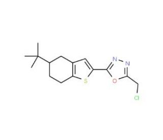 2-(5-tert-butyl-4,5,6,7-tetrahydro-1-benzothien-2-yl)-5-(chloromethyl)-1,3,4-oxadiazole - chemical structure image