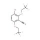 2,6-Bis(2,2,2-trifluoroethoxy)-3-bromobenzonitrile (CAS 175204-13-4) - chemical structure image