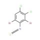2,6-Dibromo-3,4-dichlorophenyl isothiocyanate - chemical structure image