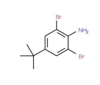 2,6-Dibromo-4-tert-butylaniline (CAS 10546-67-5) - chemical structure image