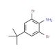 2,6-Dibromo-4-tert-butylaniline (CAS 10546-67-5) - chemical structure image