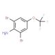 2,6-Dibromo-4-(trifluoromethoxy)aniline (CAS 88149-49-9) - chemical structure image
