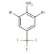 2,6-Dibromo-4-(trifluoromethyl)aniline (CAS 72678-19-4) - chemical structure image