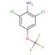 2,6-Dichloro-4-(trifluoromethoxy)aniline (CAS 99479-66-0) - chemical structure image
