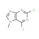 2,6-Dichloro-7-methyl-7H-purine (CAS 2273-93-0) - chemical structure image