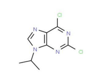 2,6-Dichloro-9-isopropylpurine (CAS 203436-45-7) - chemical structure image