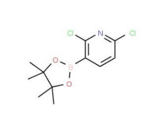2,6-Dichloropyridine-3-boronic acid pinacol ester (CAS 1073371-78-4) - chemical structure image