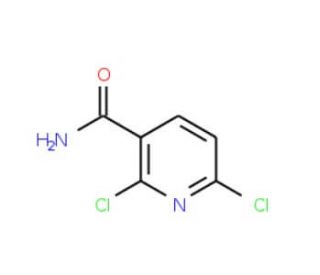 2,6-Dichloropyridine-3-carboxamide (CAS 62068-78-4) - chemical structure image