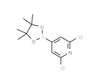 2,6-Dichloropyridine-4-boronic acid, pinacol ester (CAS 408492-27-3) - chemical structure image