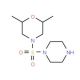 2,6-dimethyl-4-(piperazin-1-ylsulfonyl)morpholine - chemical structure image