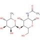 2-Acetamido-2-deoxy-4-O-(α-L-fucopyranosyl)-D-glucopyranose 的分子结构, CAS编号: 76211-71-7 2-Acetamido-2-deoxy-4-O-(α-L-fucopyranosyl)-D-glucopyranose (CAS 76211-71-7) - chemical structure image