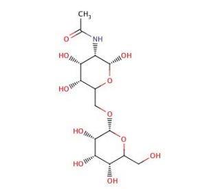 2-Acetamido-2-deoxy-6-O-(&beta;-D-galactopyranosyl)-D-galactopyranose (CAS 209977-51-5) - chemical structure image