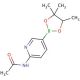 2-Acetamidopyridine-5-boronic acid pinacol ester (CAS 904326-87-0) - chemical structure image