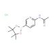 2-Acetamidopyridine-5-boronic acid, pinacol ester, HCl (CAS 1150561-64-0) - chemical structure image